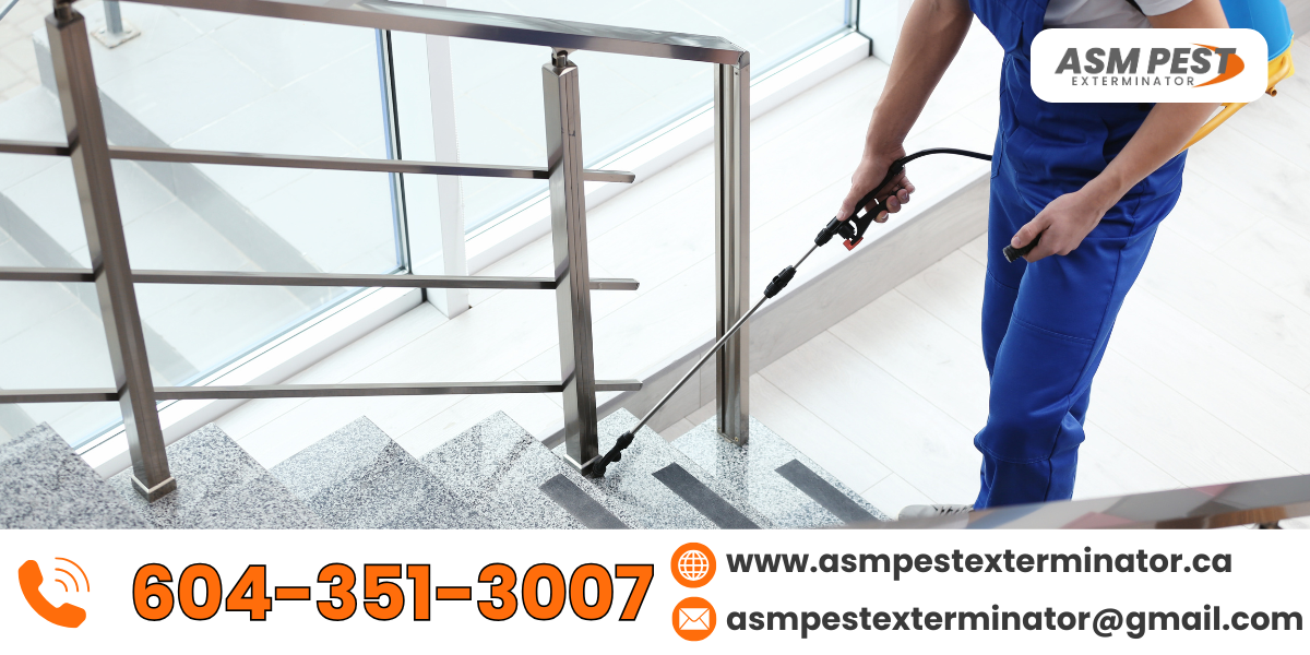 commercial-pest-control