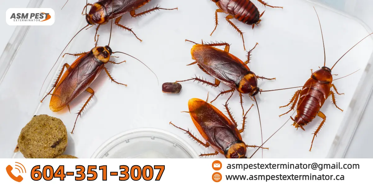 do cockroaches bite