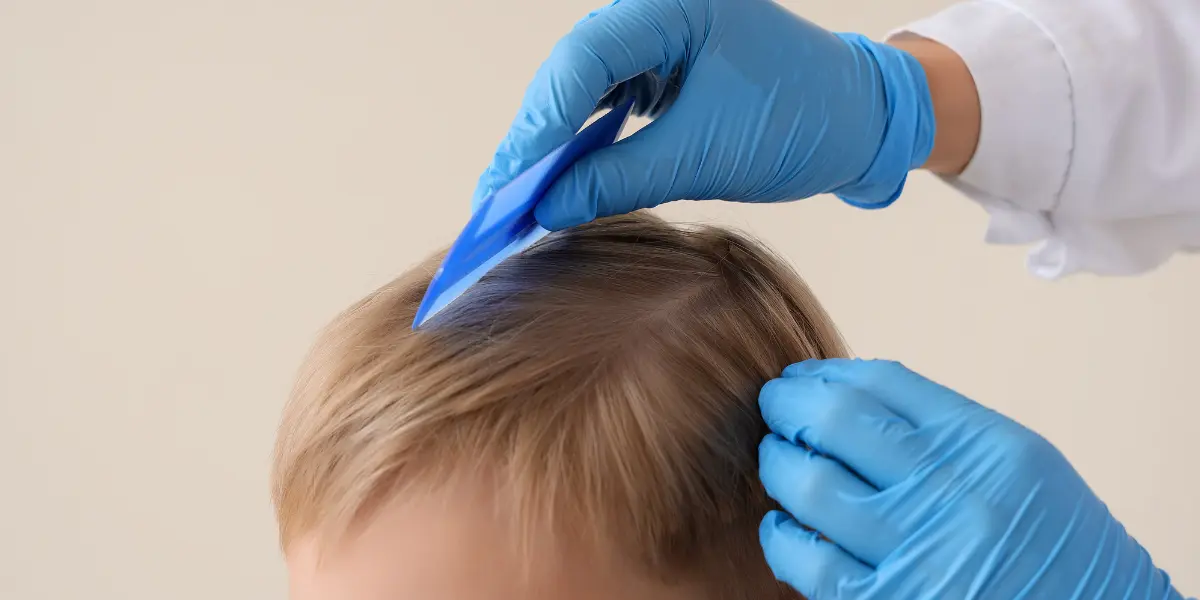 can-bed bugs-stay-in-your-hair